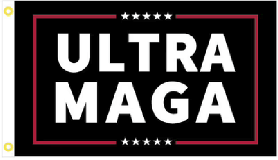 BANDIERA 3X5 FT Donald Trump 2024 resistente presidente Trump bandiera