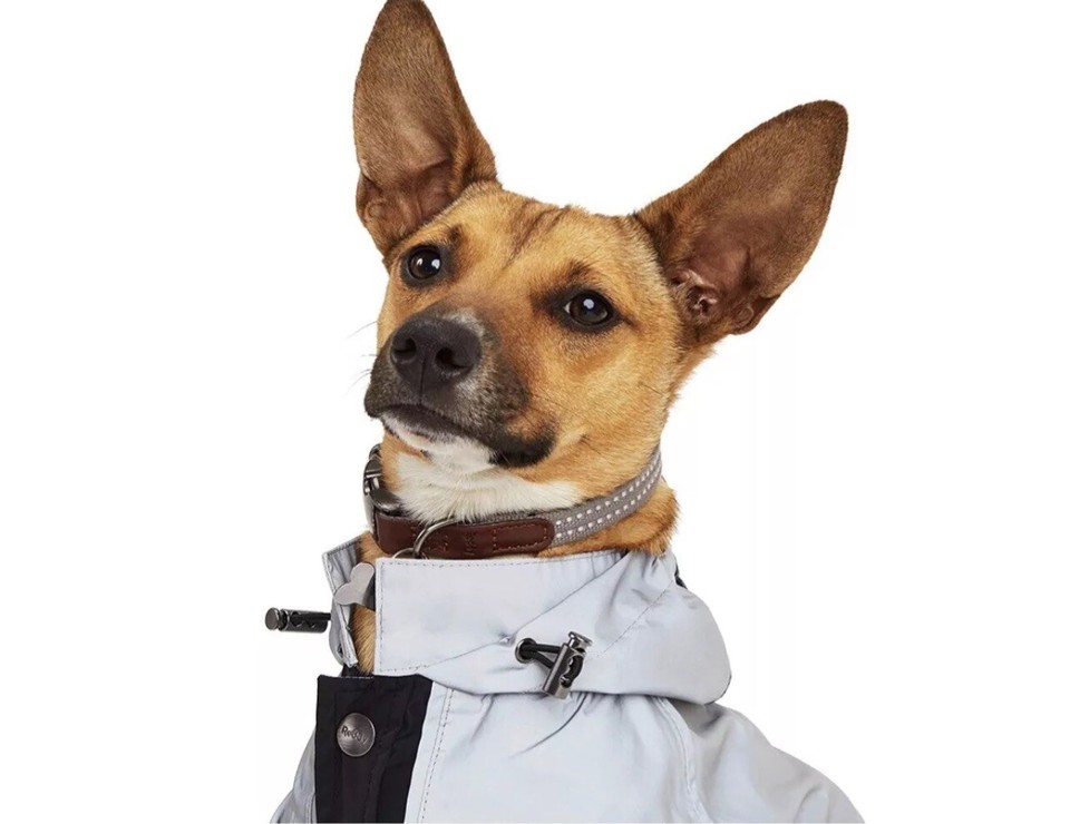 New Reddy Dog Raincoat Jacket Reflective Panels Sizes Medium & XLarge