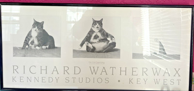 1988 RICHARD WATHERWAX FAT CAT CAPSIZING PRINT IN FRAME
