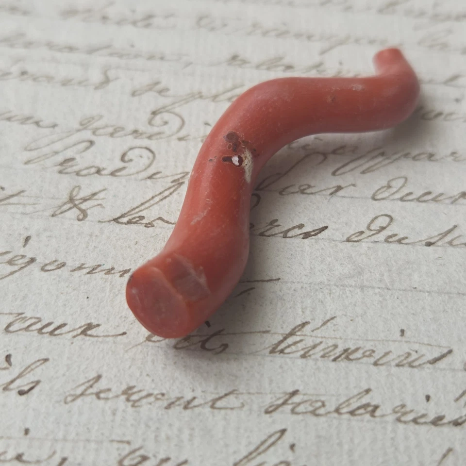 Branche De Corail Rouge Rubrum De Méditerranée Ancien 5 cm - Photo 4/4