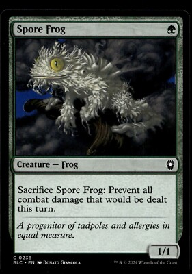 Spore Frog #238 MTG Bloomburrow NM X1 | eBay
