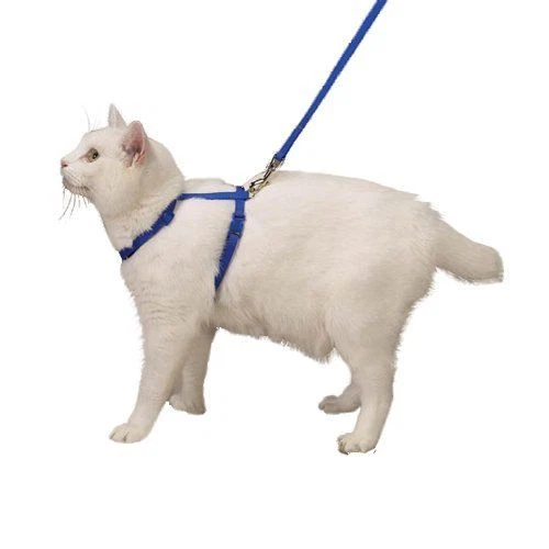 Easy walk sale cat harness