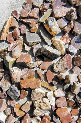 Utah Dinosaur Bone Cabbing Pieces - 10 Lbs. - Mixed Colors And Sizes