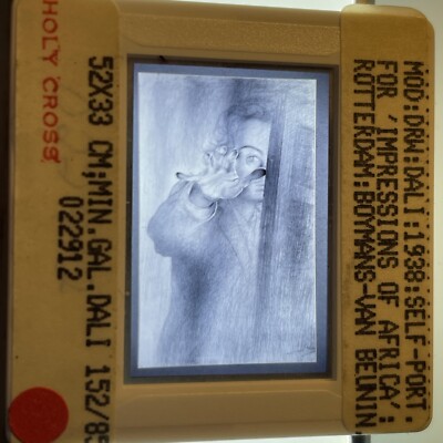 Salvador Dali  impressions Of Africa  Surrealist 35mm Art Slide