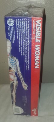 Skilcraft Visible Woman Anatomy Kit Factory Sealed | eBay