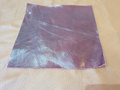 Stemma Della Famiglia Averolda - Foto 5