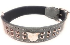 1.5 Inch Wide Studded Grey Leather Dog Collar for Staffordshire Bull Terrier