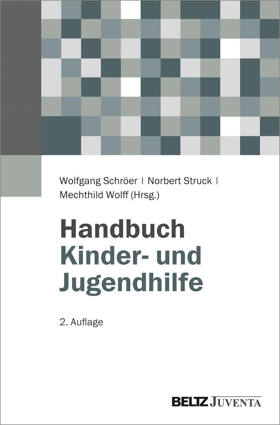Thumbnail - Handbuch Kinder- Und Jugendhilfe | Wolfgang Schröer (u. A.) | Deutsch