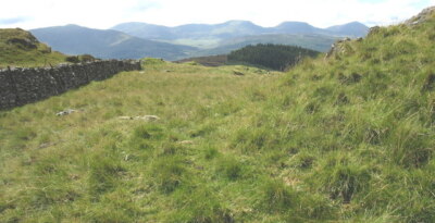 Foto 6x4 Ein Feuchtgebiet entlang der Traversenwand Llanfachreth Thi c2007