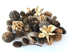 37 Nano Botanical Seed Pods Terrariums Aquariums Shrimp Botanicals for Bettas