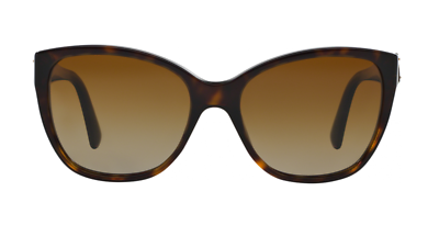 New DOLCE & GABBANA DG4195 502/T5 56mm Brown Havana 