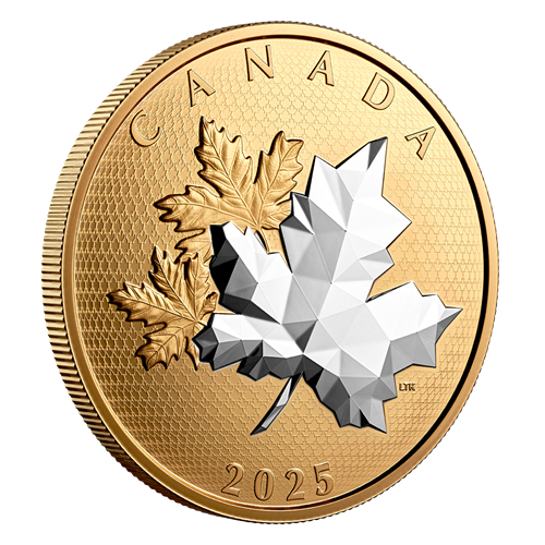 MAPLE LEAVES IN MOTION 2025 CANADA 5oz .9999 Silver Proof $50 Coin - Picture 1 of 10