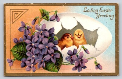 c1910 Chicks Inside Huge Exaggerate Egg Violets Easter P81A