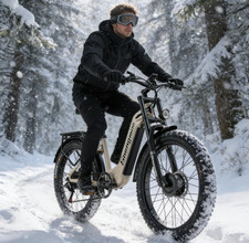 ELECTRIC BIKE 2×1000W 48V EBIKE DUAL MOTORS 26'' MOUNTAIN BIKE FAT TIRE US