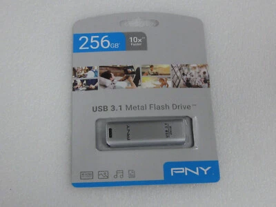 256GB USB Stick PNY USB 3.1 Metal Flash Drive (FD256ESTEEL31G-EF) - Bild 1 von 3