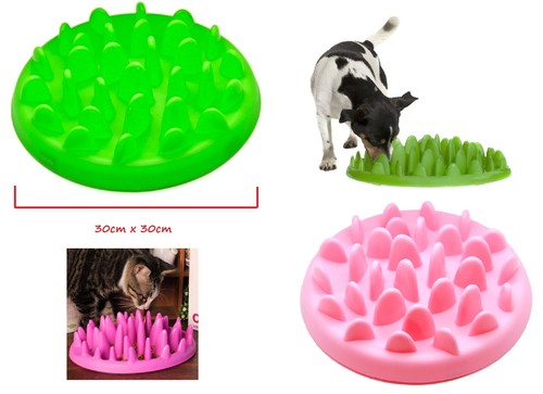 HUGE - DOG / CAT Slow Eating Food Water Bowl Feeder Anti Choke No Bloating Gulp - Picture 4 of 8