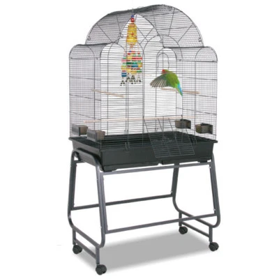 Käfig SittichKäfig Voliere VogelKäfig Memphis III - Antik von Montana Cages