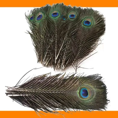 KOPPER-24 Natürliche Pfauenfedern Federn Pfau 25-30 cm Augen Schmuck Bastelfedern Deko DIY