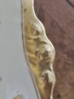 Photo 17/18
