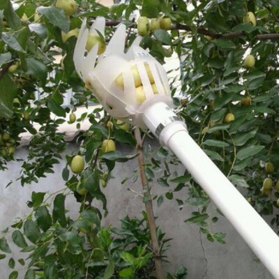 Gartenkorb Obstpflückkopf Mehrfarbig Kunststoff Obstpflückwerkzeug Auffänger A