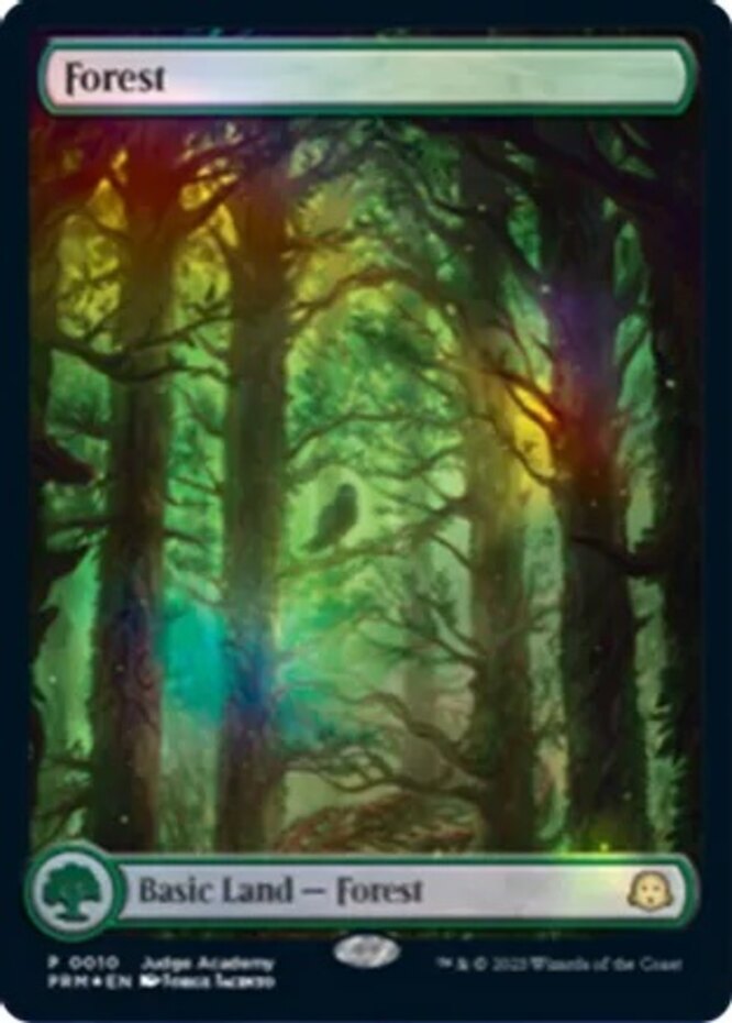 MTG 森 ジャッジ foil ミントモール / MINT GAMES MTG(東日本橋) / 【PRM】【ENG