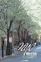 Regina Alberty | Nyc Odds & Ends | Taschenbuch | Englisch (2014) | Xlibris