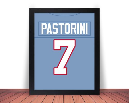 DAN PASTORINI Photo Picture Art HOUSTON OILERS Football 8x10 11x14 or 16x20 (V2) - Picture 2 of 9