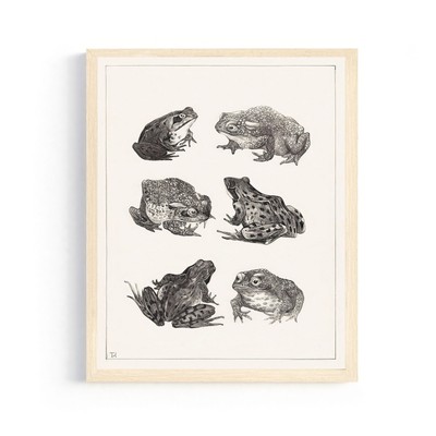 8x10 Theo van Hoytema Print - Premium Botanical Illustration