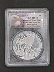2013-W 1oz .999 Silver Eagle Enhanced Unc West Point Mint Set | PCGS MS70 #342