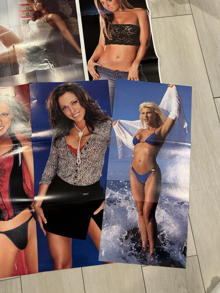 Lote de 10 pósters de WWE Divas de revistas WWF Trish Stratus Stacy Keibler Maria Foto 4 de 4