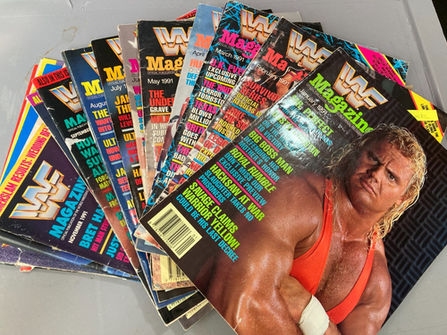 WWF WWE Zeitschriften Konvolut Sammlung 1991 ganzes Jahr x 12 Ausgaben PRO WRESTLING
