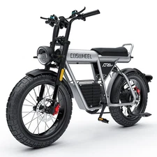 Coswheel Electric Dirt Bike 2000W Peak 60V 20"Fat Tire Off Road Long Range Ebike