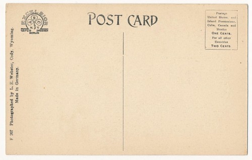 Estampida de un alce - Postal de L. E. Webster ca.1910 - Imagen 2 de 2