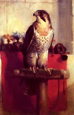 HOODED FALCON BIRD ANIMAL PAINTING BY EDWIN LANDSEER ON PAPER REPRO 10x16