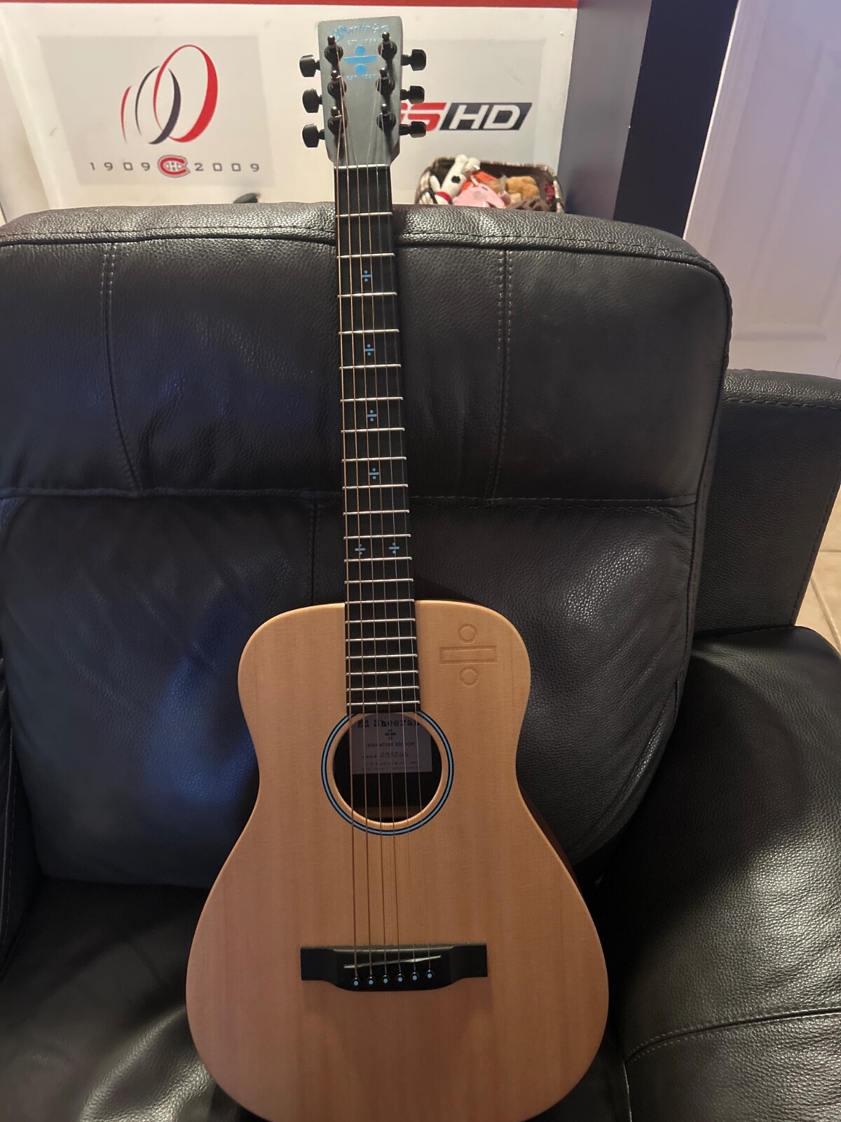 ed sheeran martin guitar