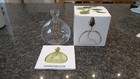 ILEX Studio Clear Glass Acorn Vase. Original Box Urban Garden Tree Lovers Gift