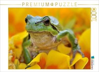 Calvendo Puzzle A Scene From The Nature Calendar—In Detail | 1000 Pieces, Finish