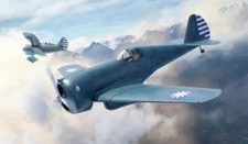 1/48 Dora Wings dw48049 Curtiss-wright cw-21a Demonstrator