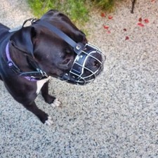 Cesta de alambre de metal fuerte bozal para perro para boxeador y otros perros con hocico corto