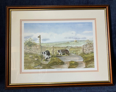 Coming Home Border Collie Framed Print by G Chambers