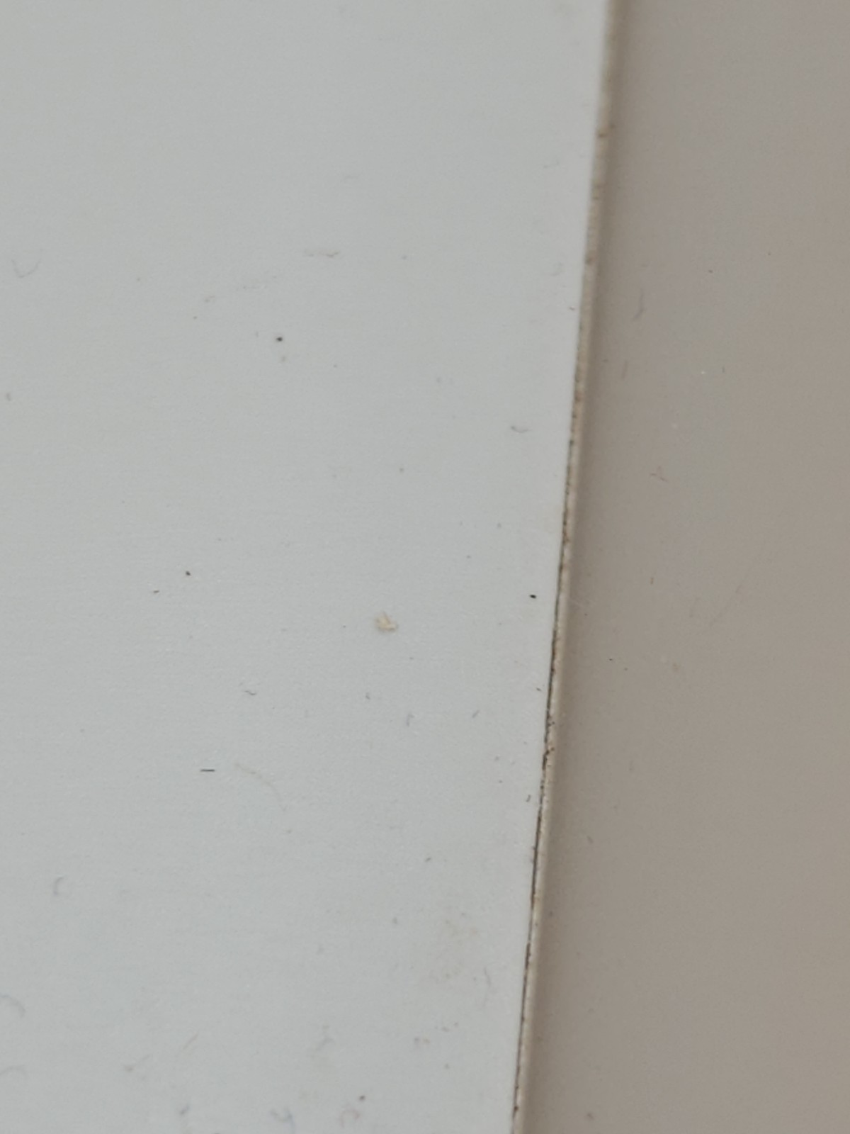 Picture 16 of 21