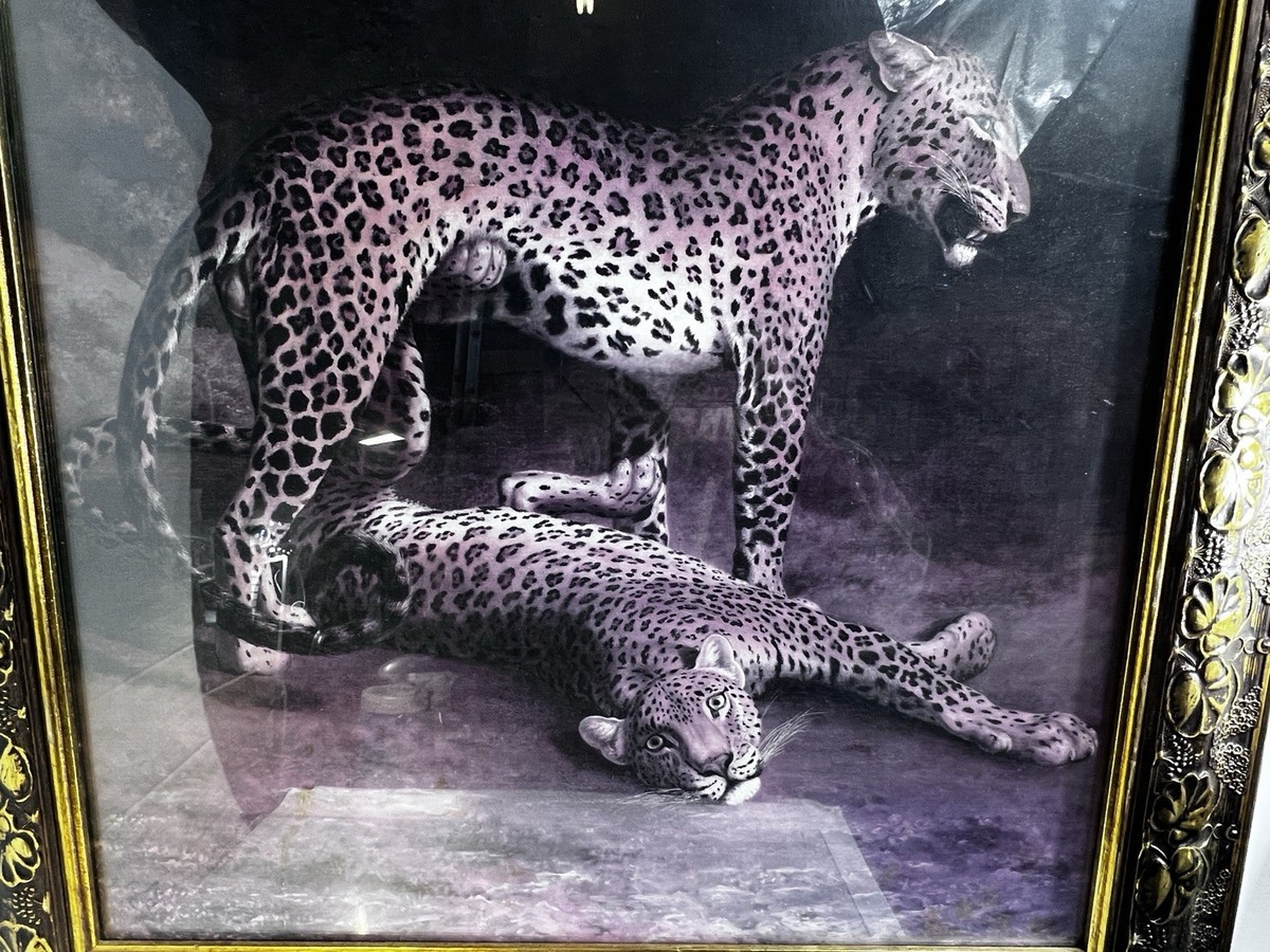 Large Art Print Two Leopards Playing Jacques-Laurent Agasse 37x31