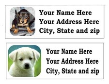 60 PUPPIES RETURN ADDRESS LABELS...MANY CHOICES...FREE SHIPPING