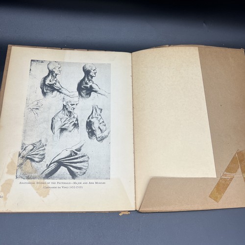 HEIDI LENSSEN ART AND ANATOMY 1946 1ST EDITION Soft bound with cover - Foto 5 di 10