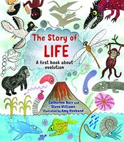Steve Williams - Story Of Life A First Book About Evolution - Paperb - G245Z