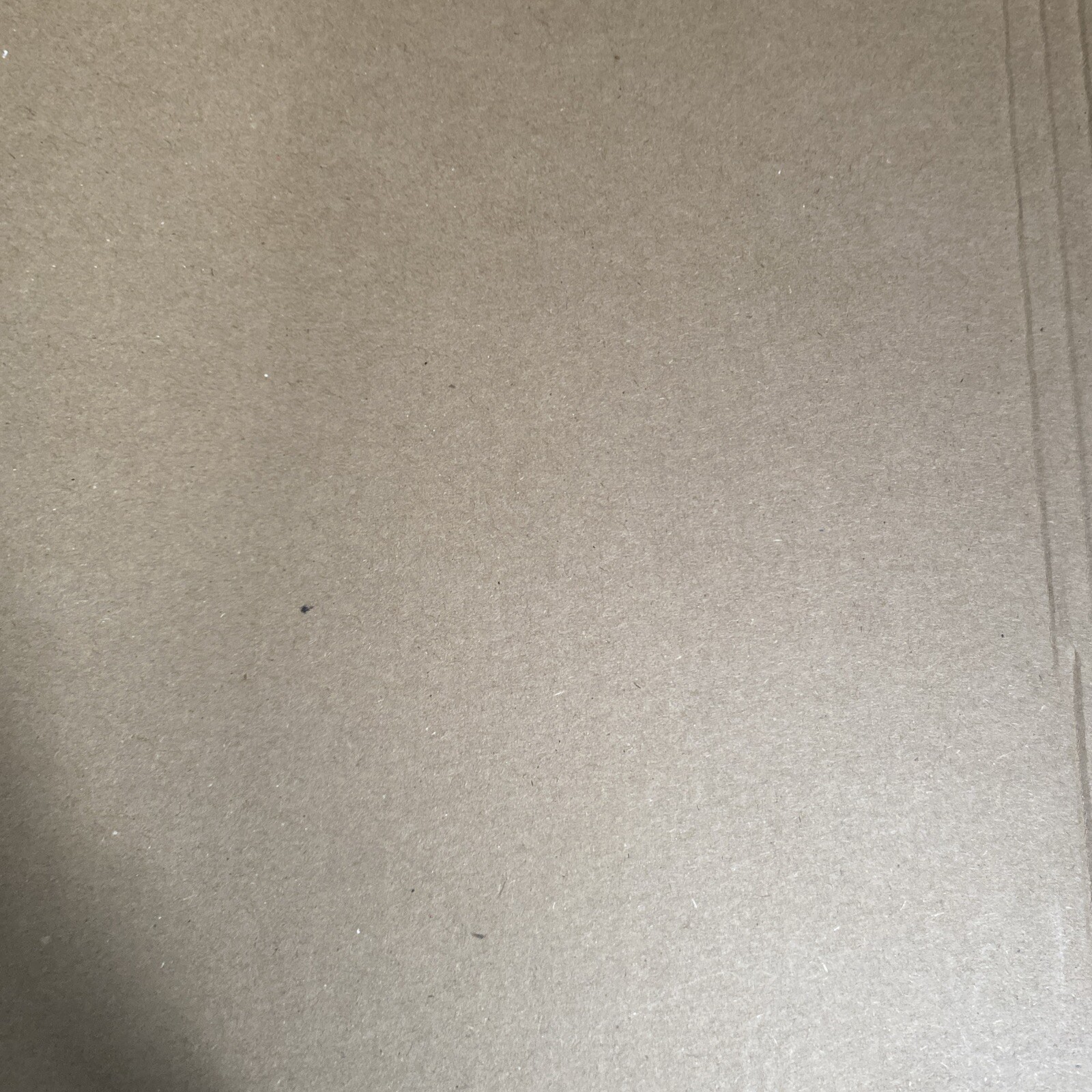 Nike Dunks - image 13