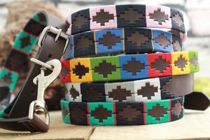 gaucho dog collar