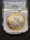 1999 American Silver Eagle Great Rainbow Toning PCI Holder. Holder Has Damage