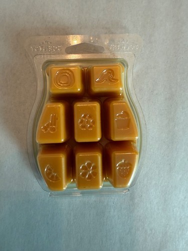 Scentsy Wax Bars 160 SCENTS TO CHOOSE FROM HTF & Retired Bars BBMB Melts Bar - Picture 126 of 278