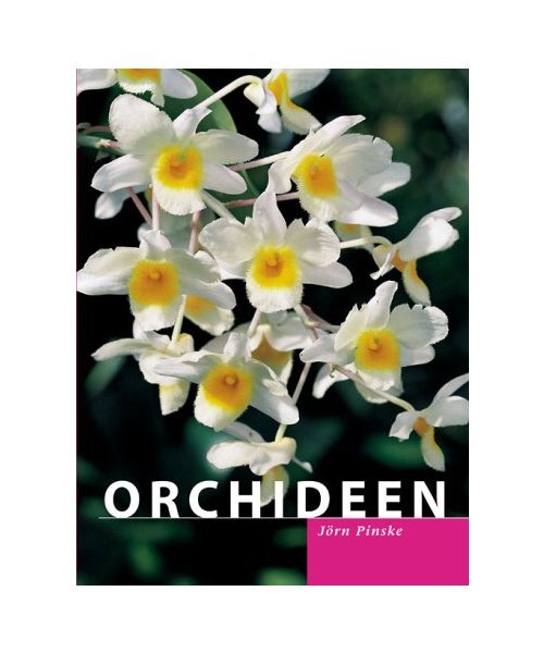 Orchideen. Die schönsten Arten und Hybriden, Auswählen, Pflegen
